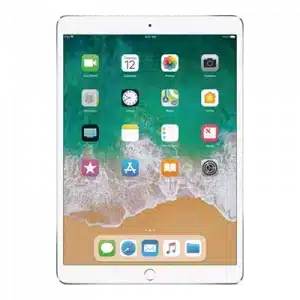 iPad 5 2017 (A1822/A1823)